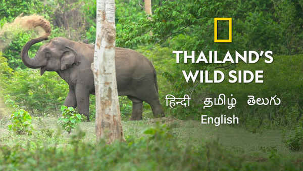 Thailand's Wild Side Poster 7