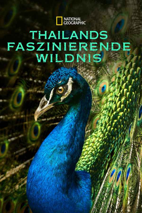 Thailand's Wild Side Poster 5