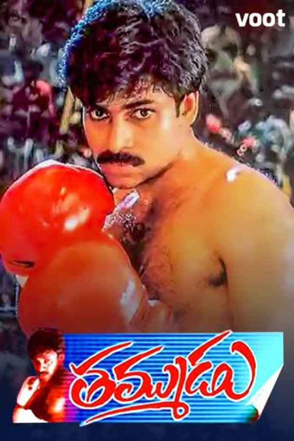 Thammudu Poster 6