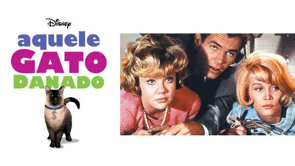 That Darn Cat! Poster 1