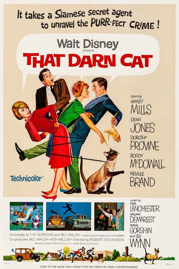 That Darn Cat! Poster 5