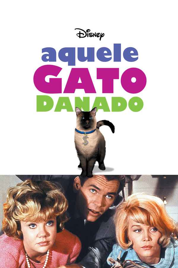 That Darn Cat! Poster 4