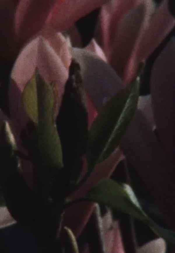 that what moves: fingerinesses Poster 2