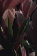 that what moves: fingerinesses Poster 1