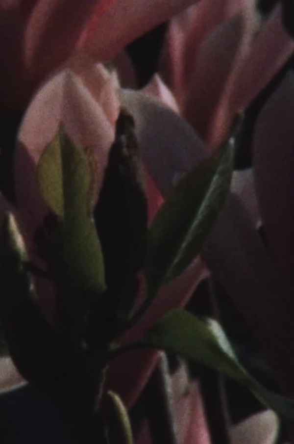 that what moves: fingerinesses Poster 1