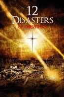 The 12 Disasters of Christmas Poster 6
