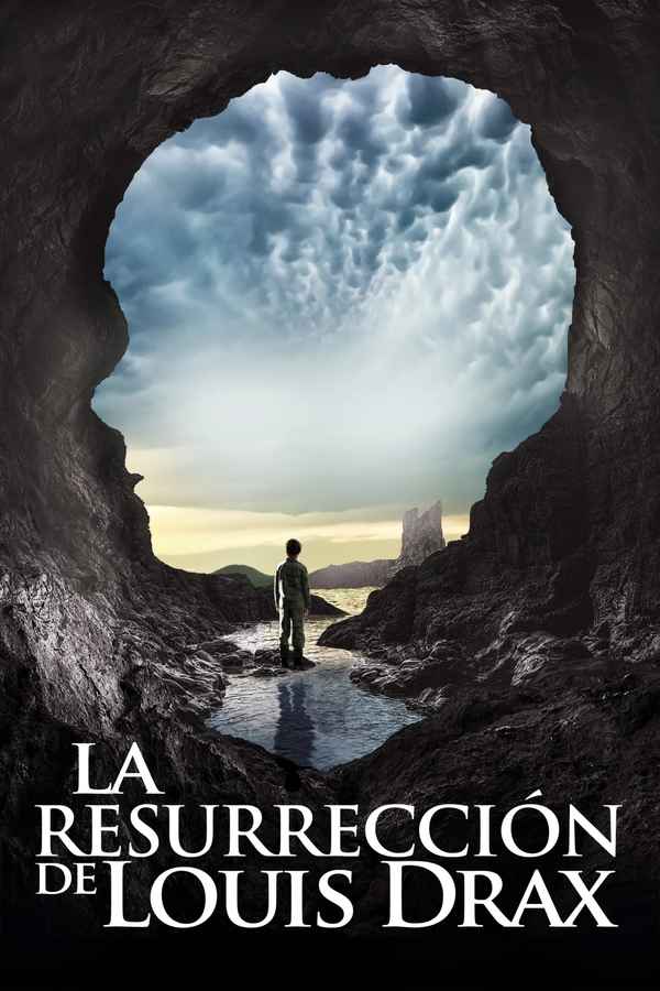 The 9th Life of Louis Drax Poster 2