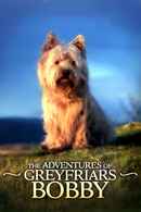 The Adventures of Greyfriars Bobby Poster 1