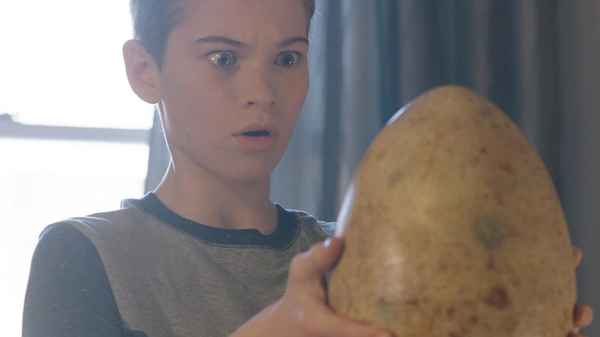 The Adventures of Jurassic Pet Poster 5