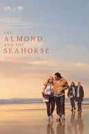 The Almond and the Seahorse Poster 7