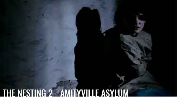 The Amityville Asylum Poster 2