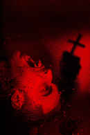 The Amityville Harvest Poster 4