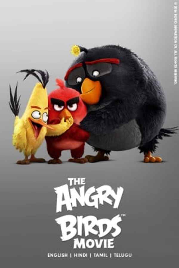 The Angry Birds Movie Poster 2
