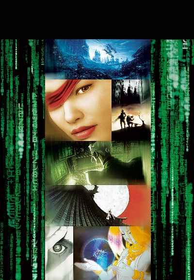 The Animatrix