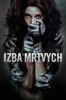 The Apparition Poster 5