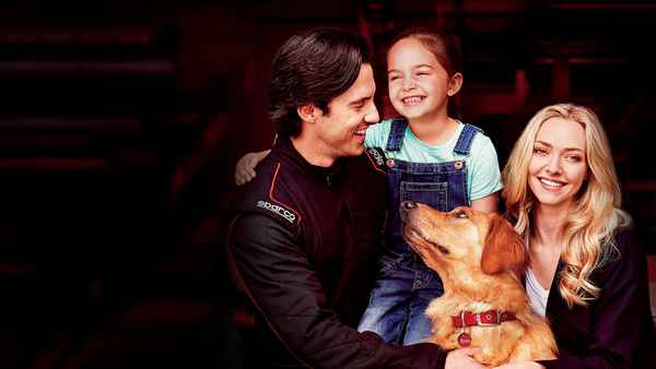 The Art of Racing in the Rain Poster 7