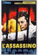 The Assassin Poster 7