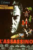The Assassin Poster 5