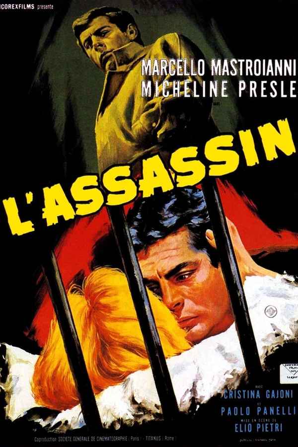 The Assassin Poster 3