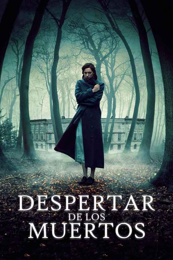 The Awakening Poster 5