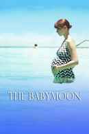 The Babymoon Poster 5