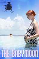 The Babymoon Poster 7