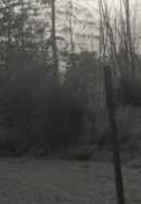 The Bargain Poster 5