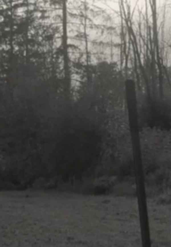 The Bargain Poster 5