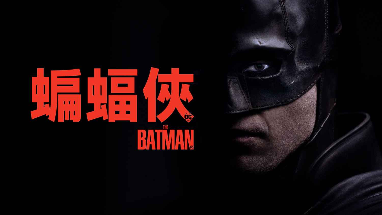 Adam Rojko Vega Best Movies and Shows List from 2022 to 2022