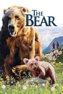 The Bear Poster 2