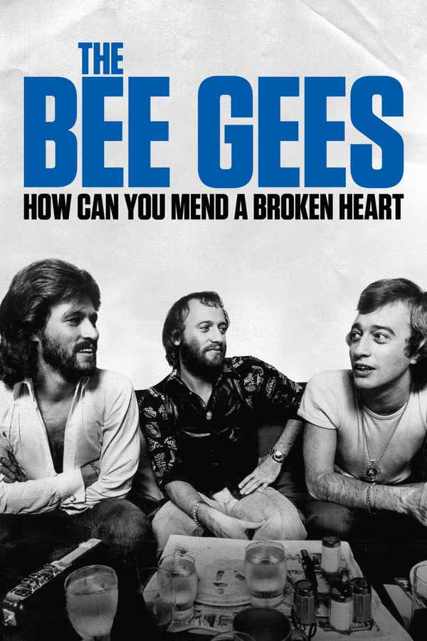 The Bee Gees: How Can You Mend a Broken Heart Poster 6