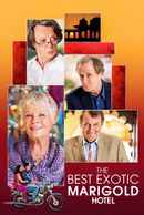 The Best Exotic Marigold Hotel Poster 7