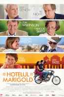 The Best Exotic Marigold Hotel Poster 5