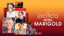 The Best Exotic Marigold Hotel Poster 3