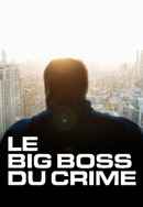 The Big Boss: A 21st Century Criminal Poster 7