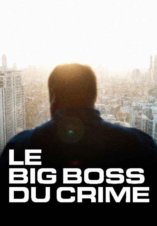 The Big Boss: A 21st Century Criminal Poster 7