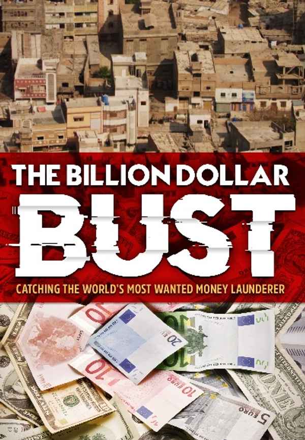 The Billion Dollar Bust Poster 6