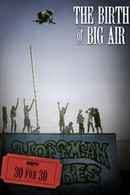 The Birth of Big Air Poster 4