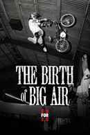 The Birth of Big Air Poster 1