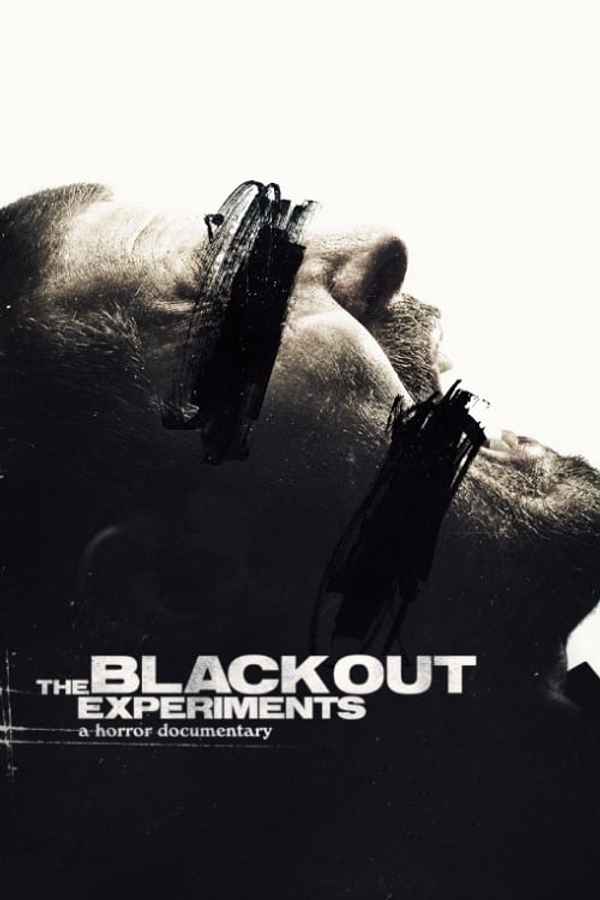 The Blackout Experiments Poster 4