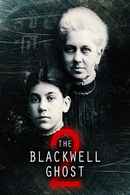 The Blackwell Ghost 2 Poster 2