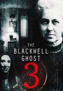 The Blackwell Ghost 3 Poster 2