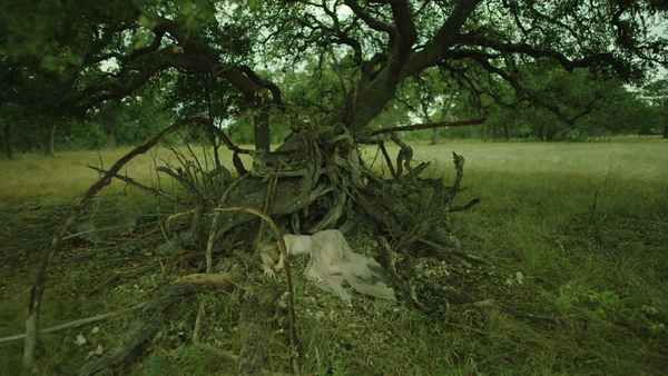 The Blazing World Poster 4