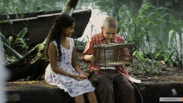 The Blue Butterfly Poster 6