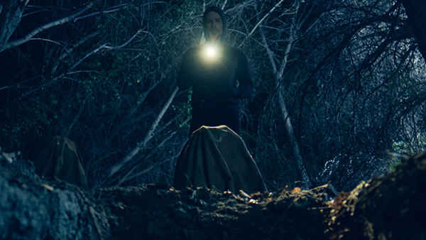 The Body Tree Poster 2