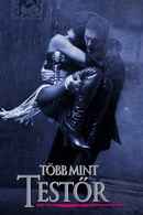 The Bodyguard Poster 7