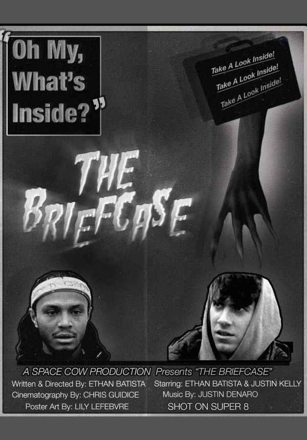 THE BRIEFCASE Poster 2