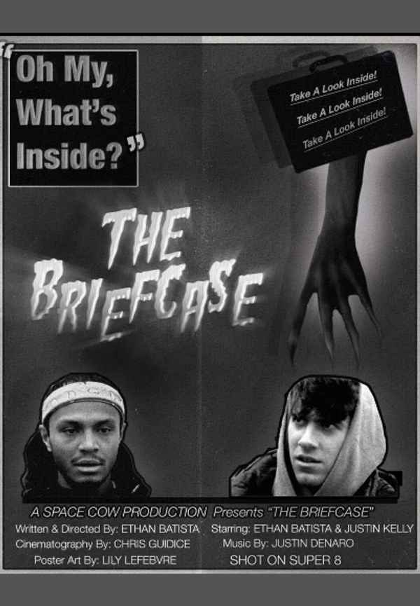 THE BRIEFCASE Poster 3