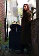 The Buckingham Murders Poster 7