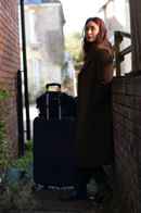 The Buckingham Murders Poster 6